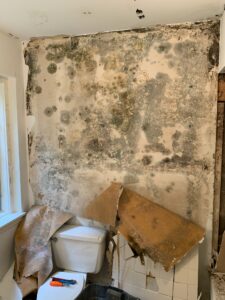 Picture of black mold on a bathroom wall 