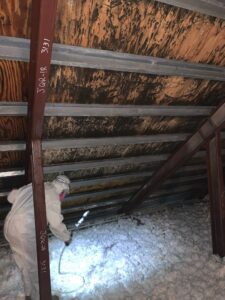 attic mold remediation in progress with mold on the roof sheeting