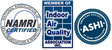 Certified mold inspector and mold removal