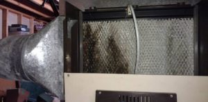 humidifier mold